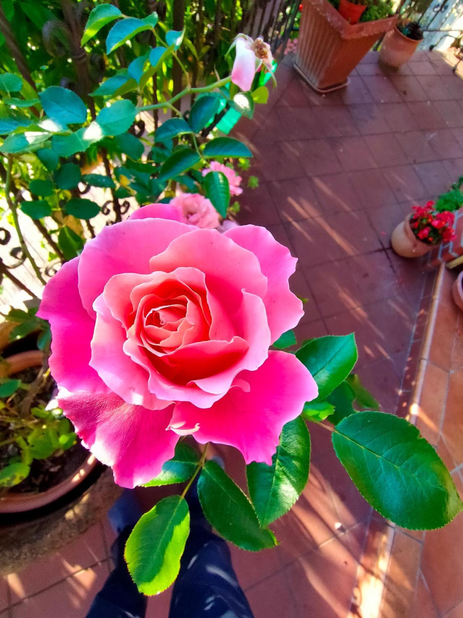 La Casa Del Sole Hotel Sanremo Ngoại thất bức ảnh